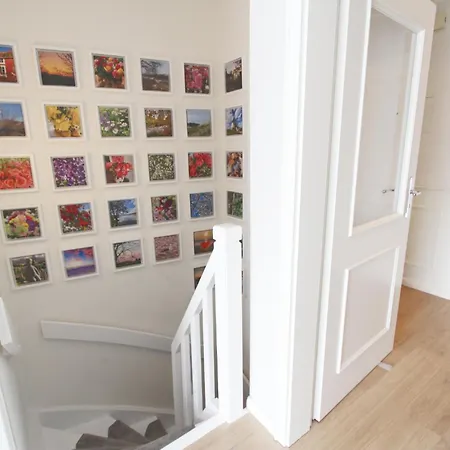 Duenenblick Ii - Hochkamp 14, App 5 * Wenningstedt-Braderup (Sylt)